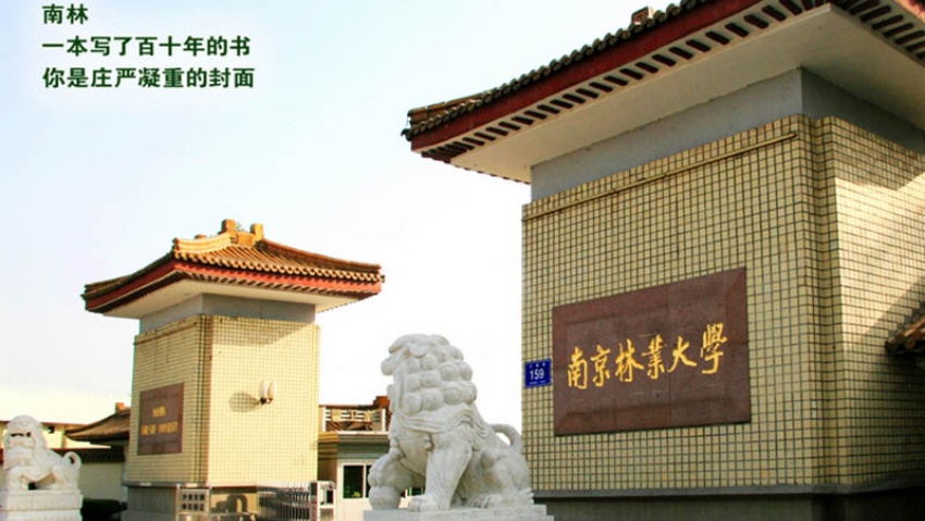 Nanjing Forestry University