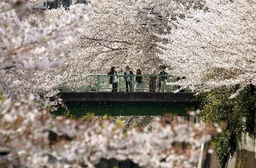 Wuhan University Transportation Guide