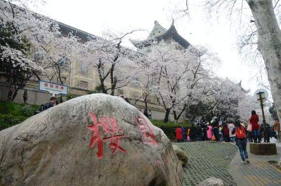 Wuhan University Dining