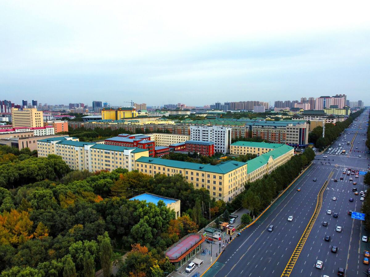 Colorful International Student Activity in Harbin Medical University