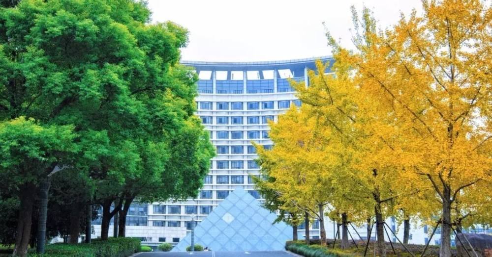 Zhejiang Gongshang University Scholarship