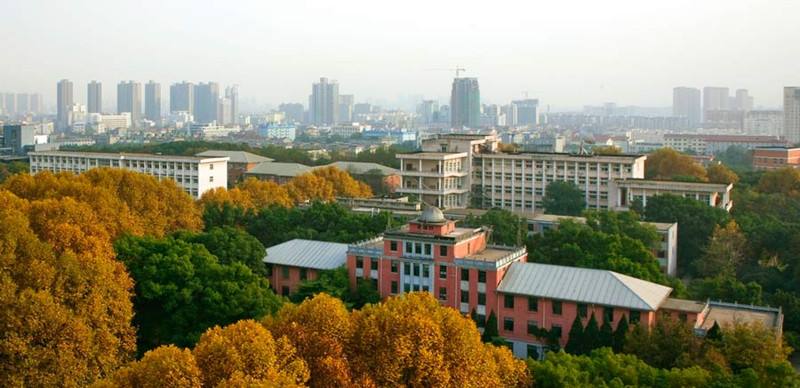 5 Kinds Scholarship Program