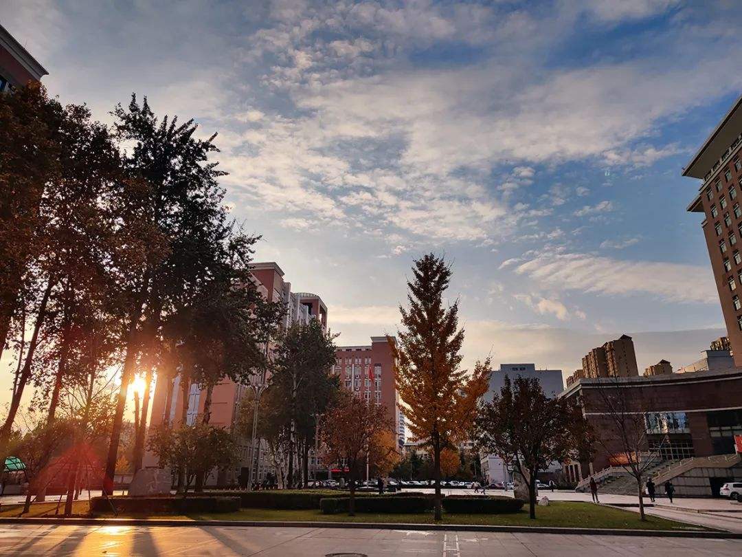 A Brief Introduction of Our University