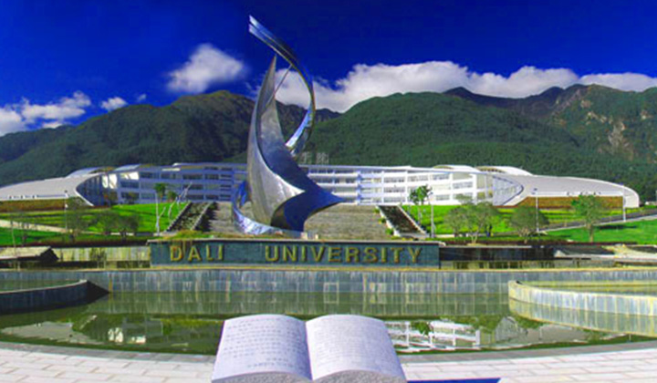 大理大学