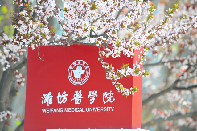 潍坊医学院2