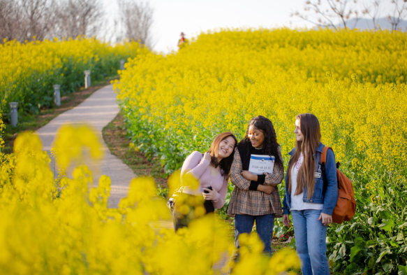 Zhejiang Normal University 1