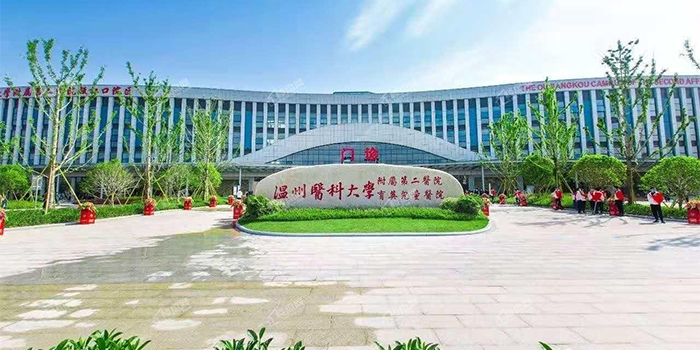 Wenzhou Medical University 1