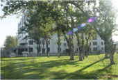 A Glimpse of the Campus of Capital University of Economics and Business