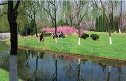 The view of a corner in campus of Binzhou University