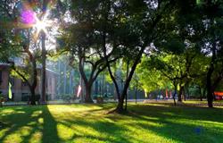 Campus in summer of Sun Yat-sen University