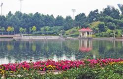 The view of a corner in campus of Shandong University of Technology