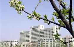 The beautiful campus of Jining Medical College