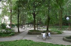 Boulevard of Guizhou University