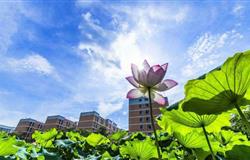 Beautiful campus view of Guangxi University