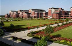 Green corridor of campus of Hebei University