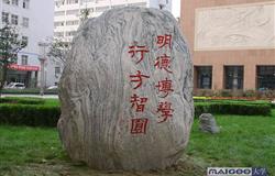 Hebei Medical University