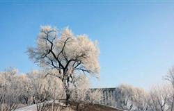 The view of a corner in campus of  Jilin University