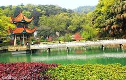 Campus in summer of Hunan Normal University