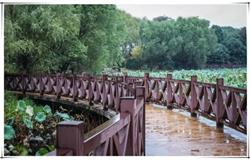 Beautiful campus view of Hunan Normal University