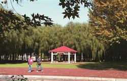 Shenyang Medical University