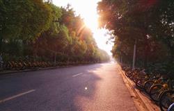 A Glimpse of the Campus of Guangdong University of Technology