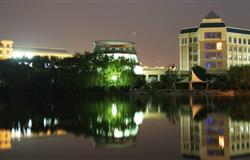 Bridge in the campus