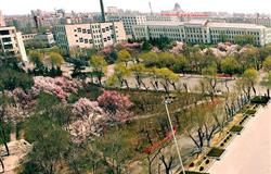 The view of a corner in campus of Harbin University of Science and Technology