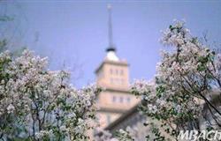 Beautiful campus view of Harbin Institute of Technology