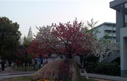 Campus Scenery of Jiangsu University of Science and Technology