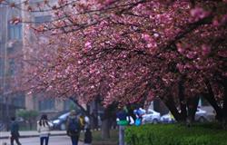 The main building in Xi'an Jiaotong University