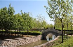 Tianjin University of Science and Technology campus scenery