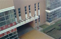 student cafeteria