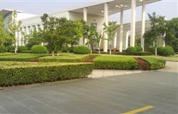 Campus Scenery