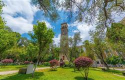 Campus in summer of Yunnan University