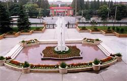 The square