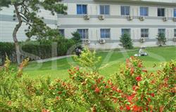 Spring  Scenery in Campus