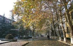 Autumn Scenery in Campus