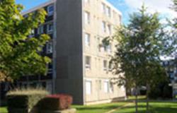One of the international dormitories on campus of Beijing International Studies University
