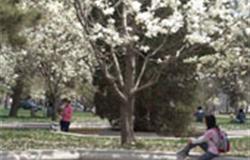 Beautiful campus view of MinZu University of China