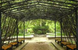 Green corridor of campus of MinZu University of China