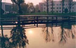 The view of a corner in campus of University of International Business and Economics