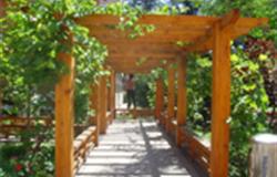 Green corridor of campus of University of International Business and Economics