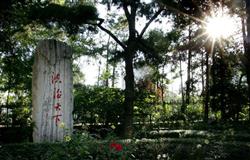 The beautiful campus of China University of Political Science and Law