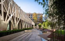 Green corridor of campus of Beijing Forestry University