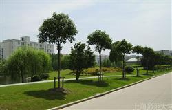 Teaching building of Shanghai Normal University