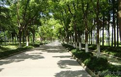 Teaching building of Shanghai Normal University