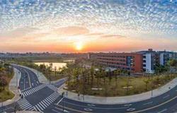 Campus Scenery