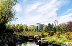 Campus Scenery