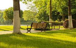 Campus Scenery