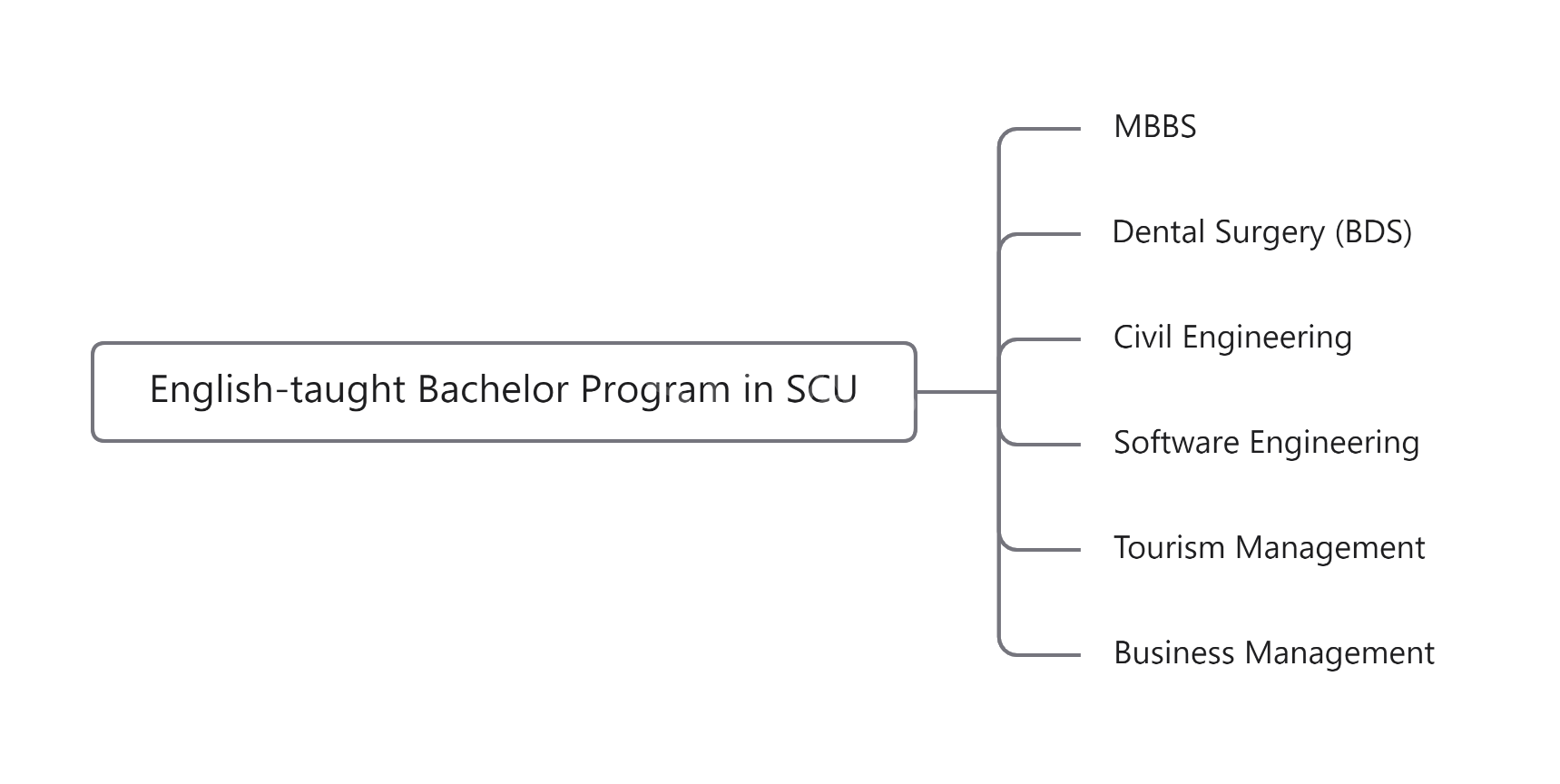 English-taught Bachelor Program in SCU.png